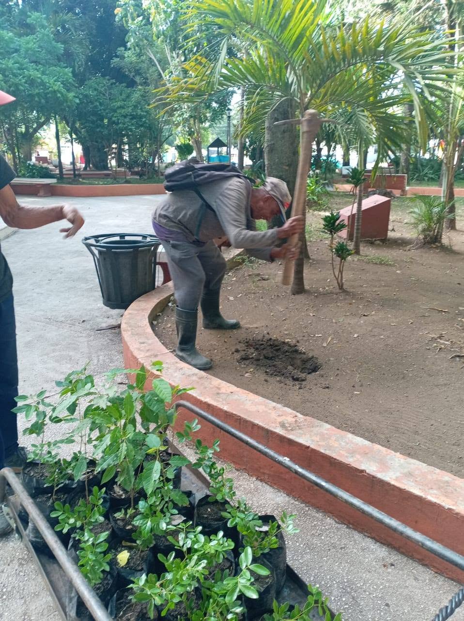 ¡Más verde para nuestro pulmón ecológico!